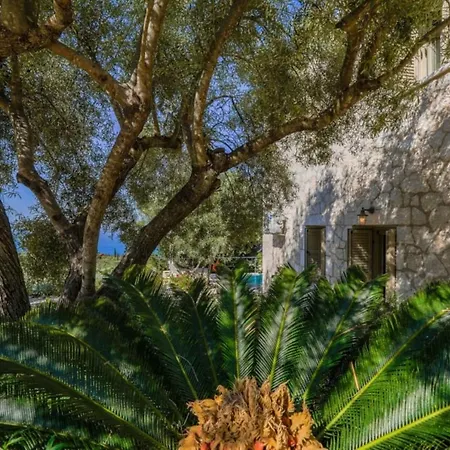Panoramic Ocean Views Jiulita Lefkada بيت للعطل